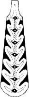 CC003109.WMF
