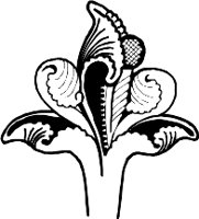 CC002155.WMF