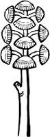 CC002143.WMF