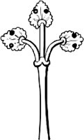 CC002142.WMF