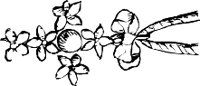 CC000699.WMF