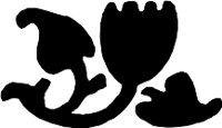 CC004294.WMF