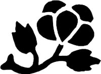CC004291.WMF