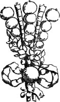 CC004210.WMF