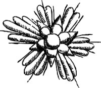 CC004207.WMF