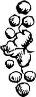 CC004198.WMF