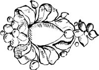 CC004175.WMF