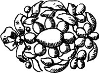 CC004172.WMF