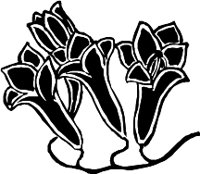 CC004146.WMF