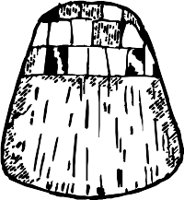 CC003294.WMF