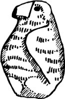 CC003283.WMF
