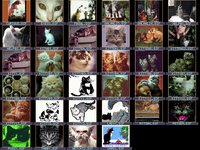 001CAT.GIF