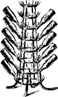 CC002473.WMF