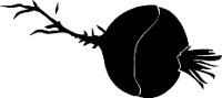 beet01.WMF