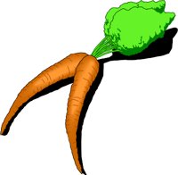 Carrots5.wmf