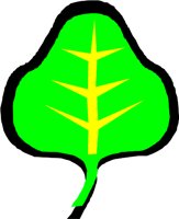 COLLARD.WMF