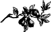 CC004018.WMF