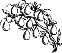 CC003879.WMF