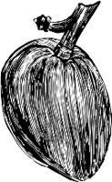 CC002503.WMF