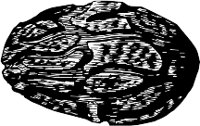 CC002501.WMF