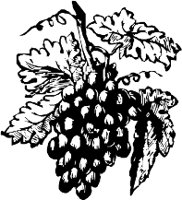 CC002480.WMF