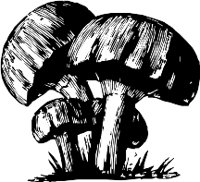 CC002467.WMF