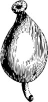 CC000541.WMF