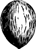 CC000539.WMF