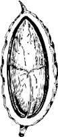 CC000538.WMF