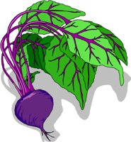 Beet5.wmf