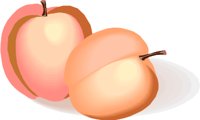 APRICOT1.WMF