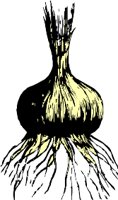 AG000307.WMF