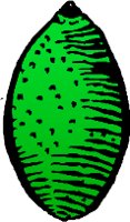 AD004221.WMF