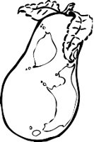 Eggplnt4.WMF