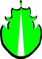 ESCAROLE.WMF