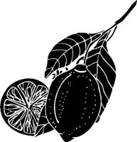 lemons.WMF