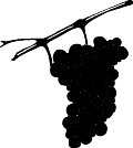 grapes01.WMF