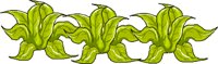 LETTUCES.WMF