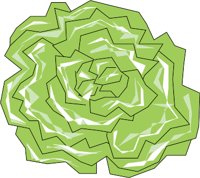 LETTUCE1.WMF