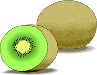 KIWIFRUT.WMF