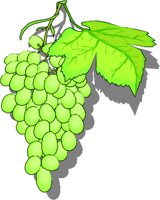 Grapes5.wmf