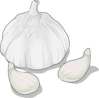 Garlic5.wmf