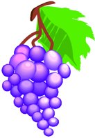 GRAPES1.WMF