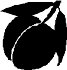 FRUIT207.WMF