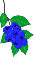 FRUIT140.WMF