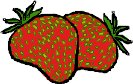 FRUIT137.WMF