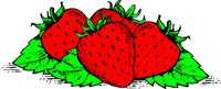 FRUIT126.WMF