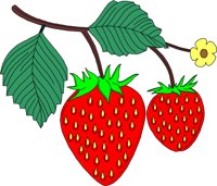 FRUIT125.WMF