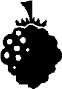 FRUIT122.WMF