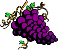 FRUIT109.WMF
